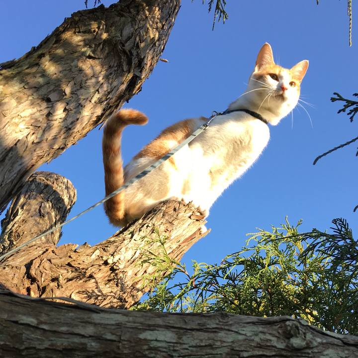 9fbe6eeb 16ed 43d1 a960 ace42f31c1c1