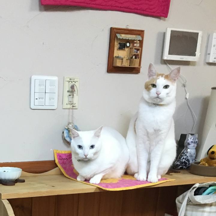 9fbebe35 9a2c 48f2 bd63 3c1f2f5e9c44