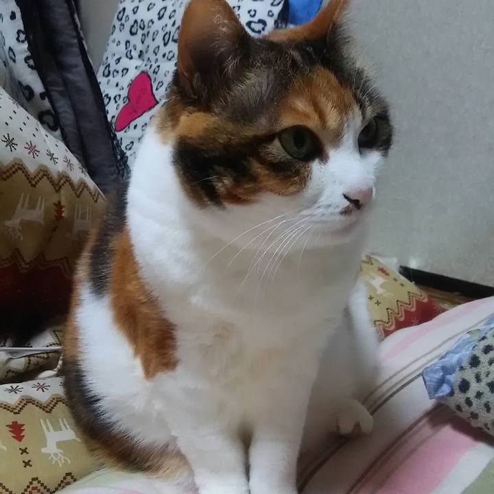 9fc0560b 22b0 4808 a248 e222359efac4