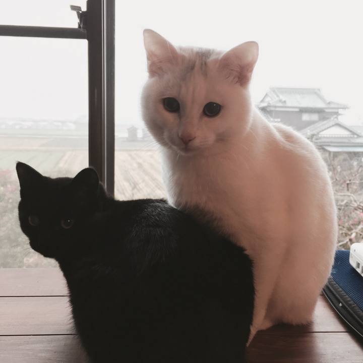 9fc07816 5310 4802 ac03 b95d57c279d1