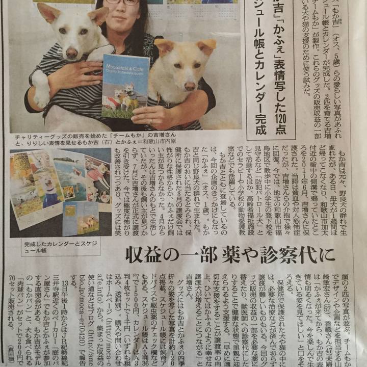 9fc088b6 2dc2 4beb ac6a 539cb24b0895