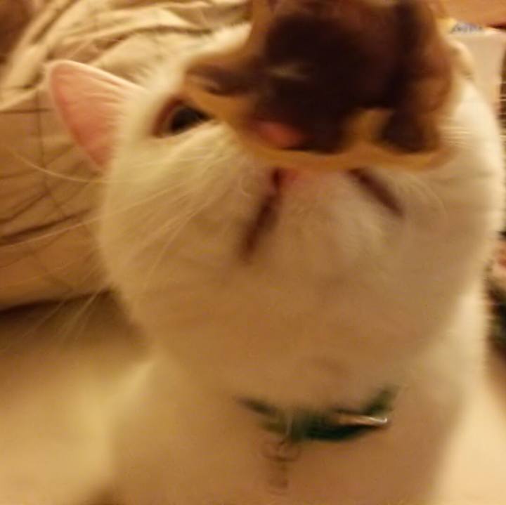 9fc0d1ca 4f05 4f3f beba eca6649ff1f4