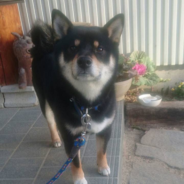 9fc1108f afc5 4ef1 9eae 82337e13ecfd