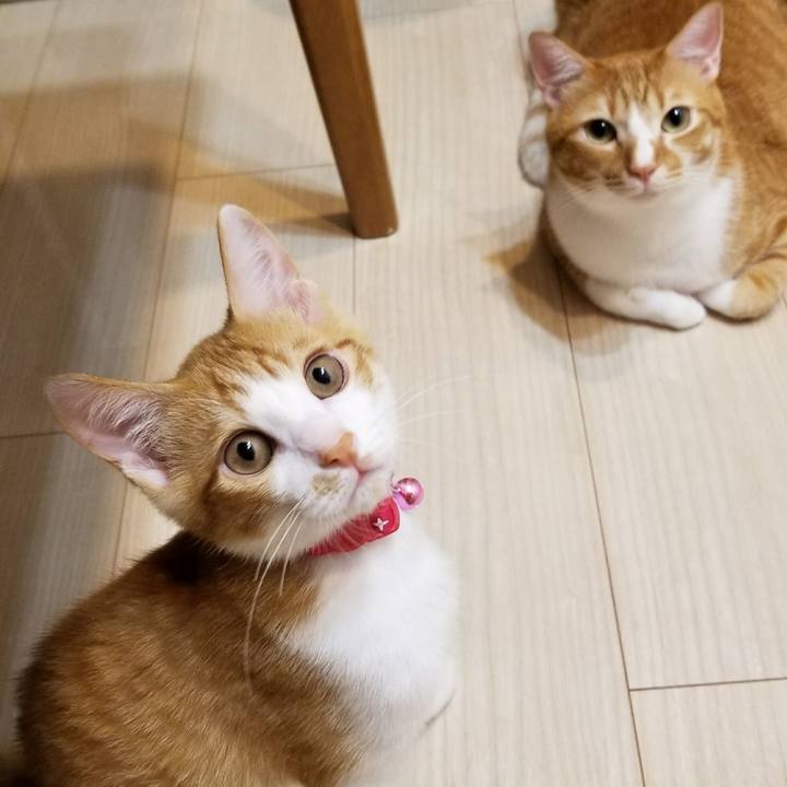 9fc13675 a79d 47d4 bed7 30aeeaecd0cf