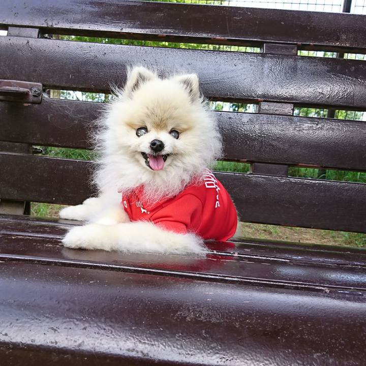 9fc1509e 3de9 4304 a3a3 6ff9ca21c007