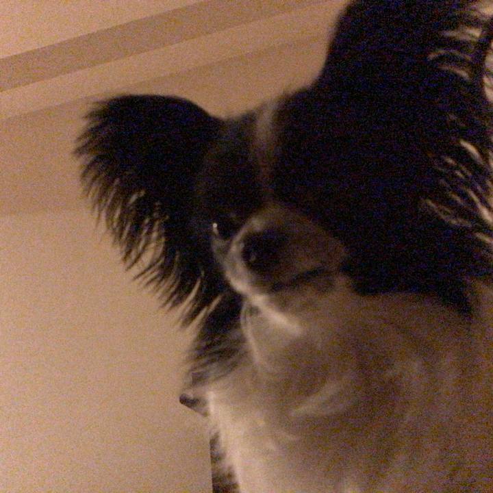 9fc1b499 7604 4640 bce1 9b76e333f434