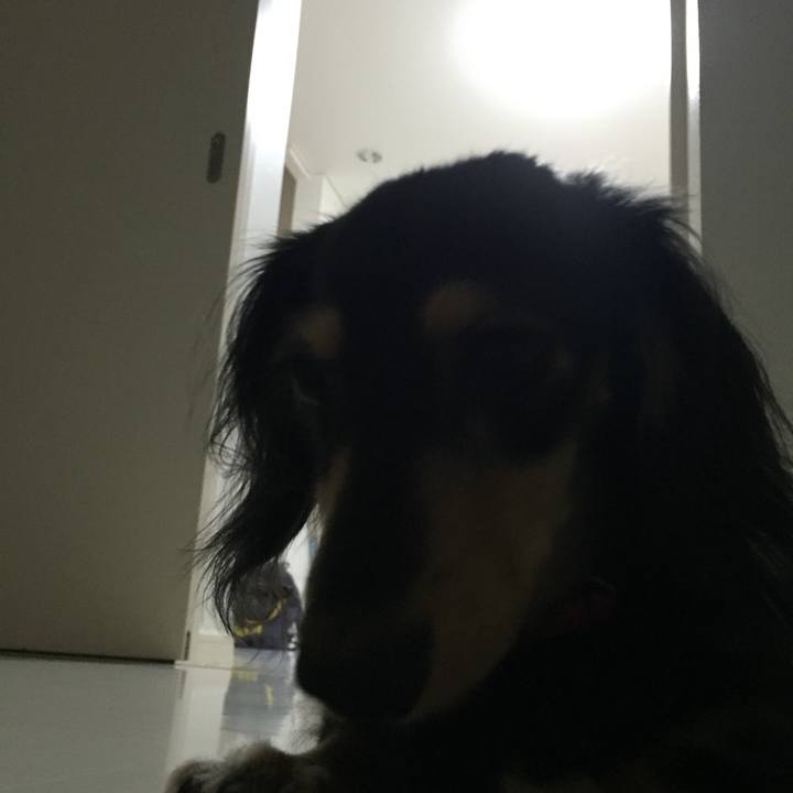 9fc20aa6 0a75 4005 82f5 4c0eee4bbc68