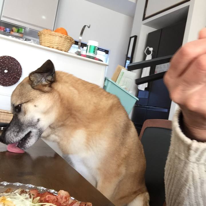 9fc20ec2 480c 40f6 9f5f 0a79d3a3e8c0