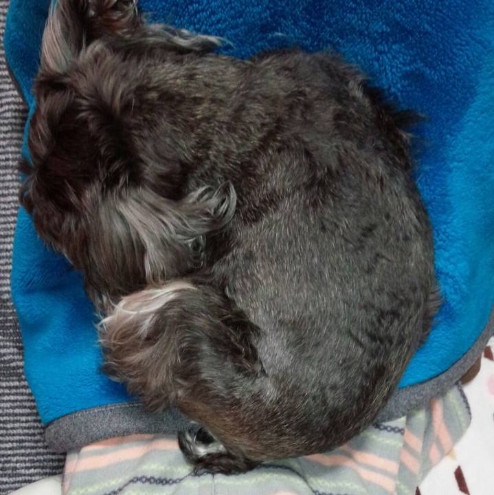 9fc22d07 f678 4b25 a993 332cb91889a9