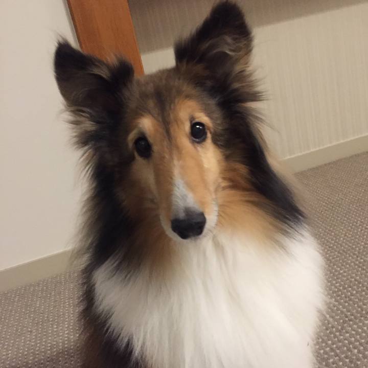 9fc2518b ac85 4d99 9df5 251bb315e139