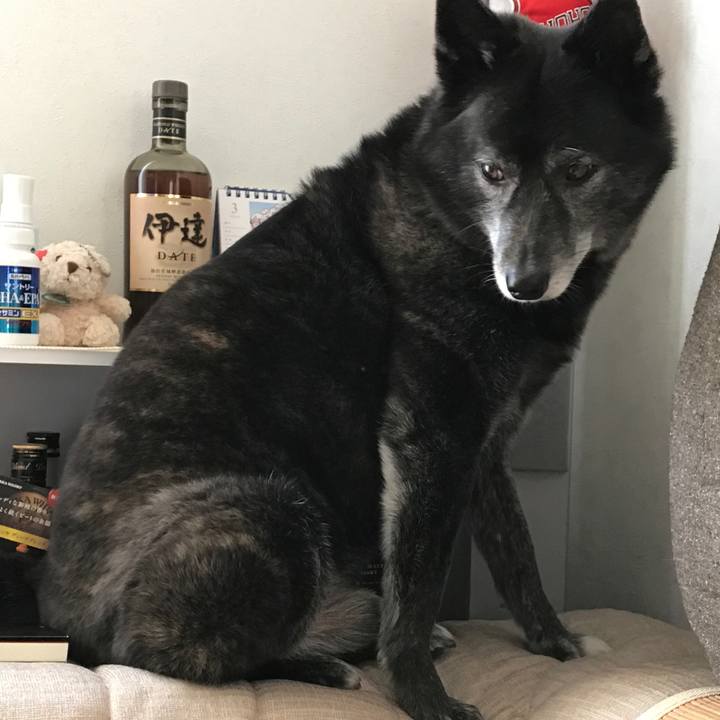 9fc2f20d e2f9 4303 8f35 6a1e5e325cba