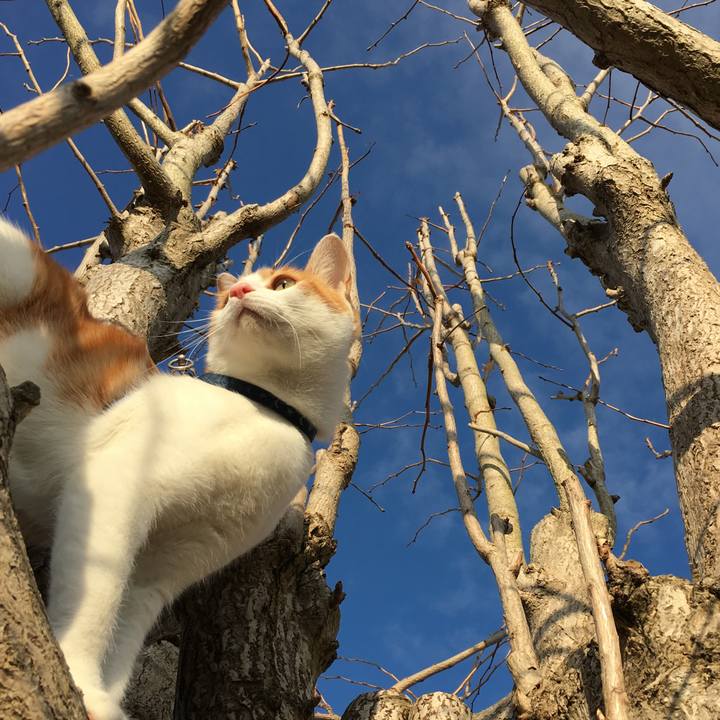 9fc3636d 39c9 48f9 bd45 79f644087663