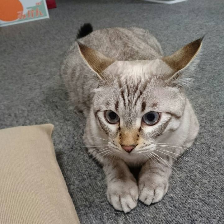 9fc38796 a265 4a9b be6c 7ca6021836b7