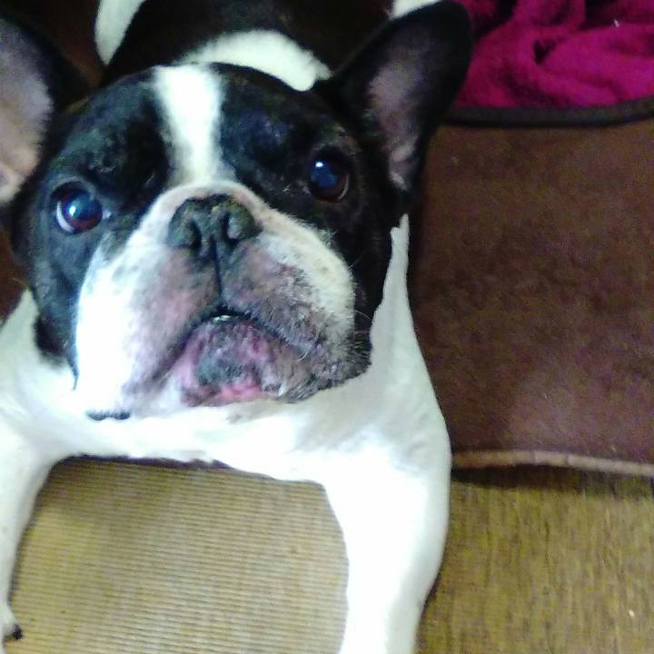 9fc38aaa c5a6 4f93 b7ee 175e8548fb72