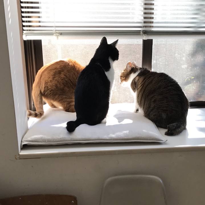 9fc38b31 fd04 4f08 ace4 2991bf8ec156