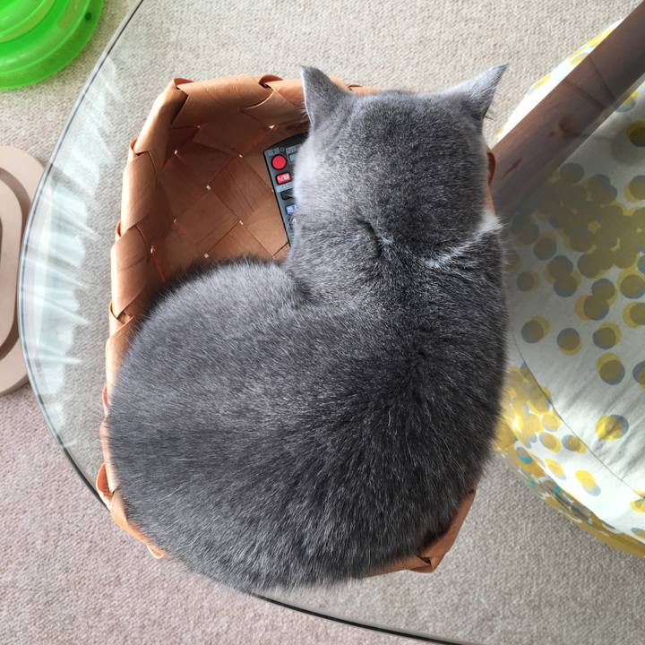 9fc3c105 19a2 407c 9f01 5117999d437d