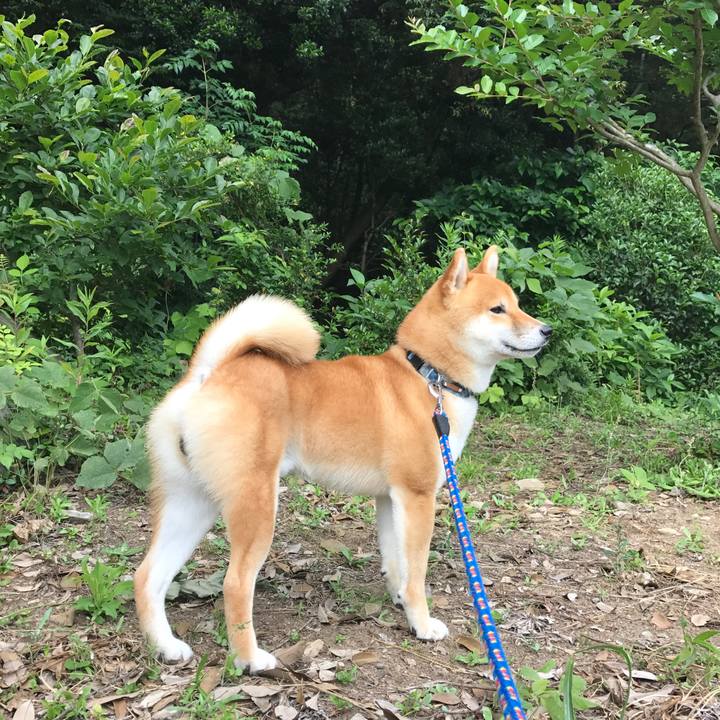 9fc43060 bf75 443e 90d0 92aea6709550