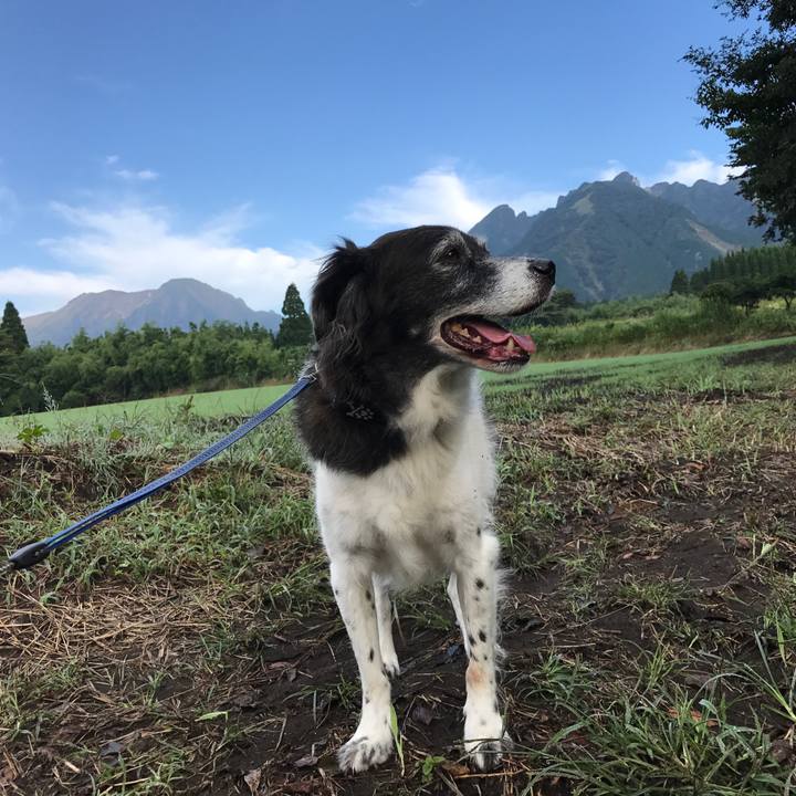 9fc44a2a 512a 46ed a917 5808828cacb6