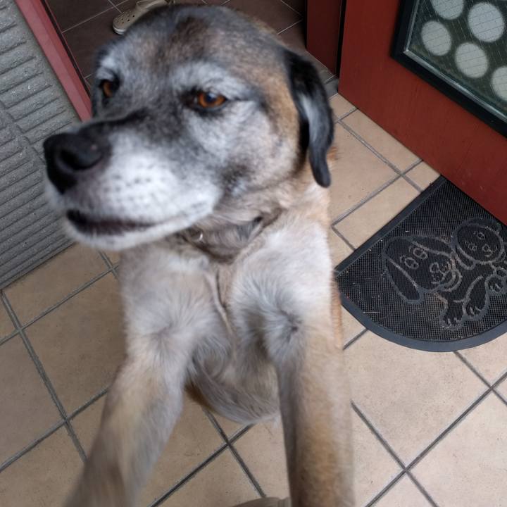 9fc4673b 72d3 4e21 8779 704dac704e81