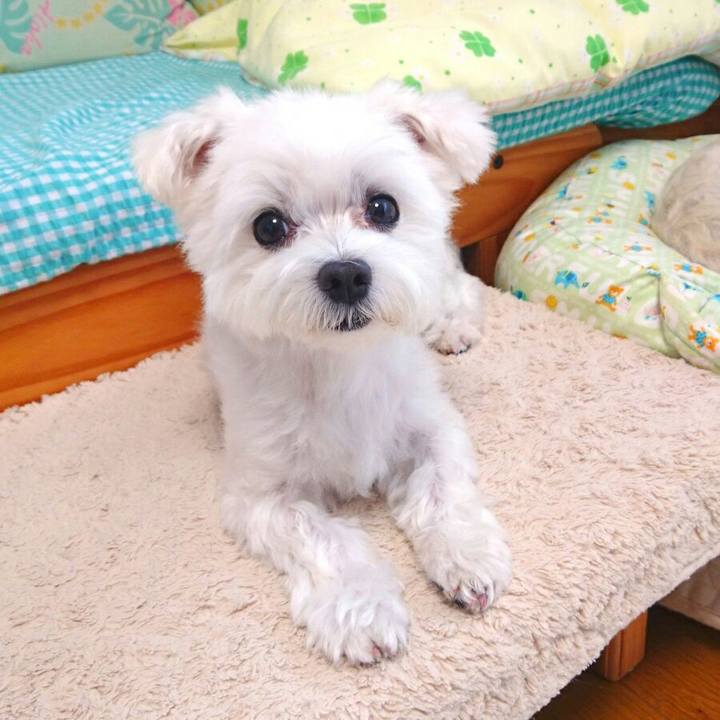 9fc584d9 3637 44f9 8040 27400691b8ff