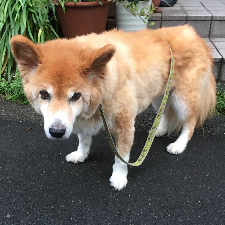 9fc64dcc 0d5d 4ec6 8fcf 8b3489f78c43