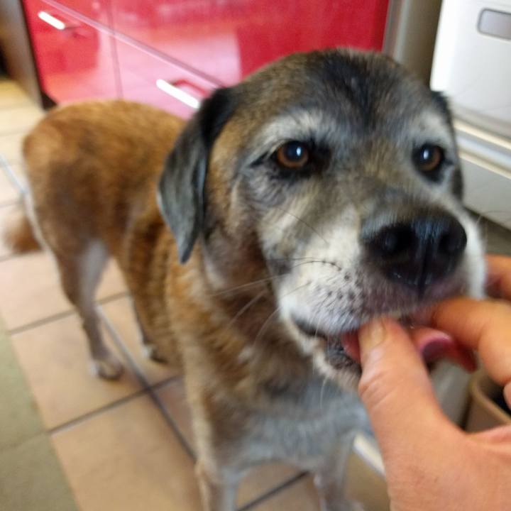 9fc7318f 622e 4cd1 82a4 725e5f4b9e32