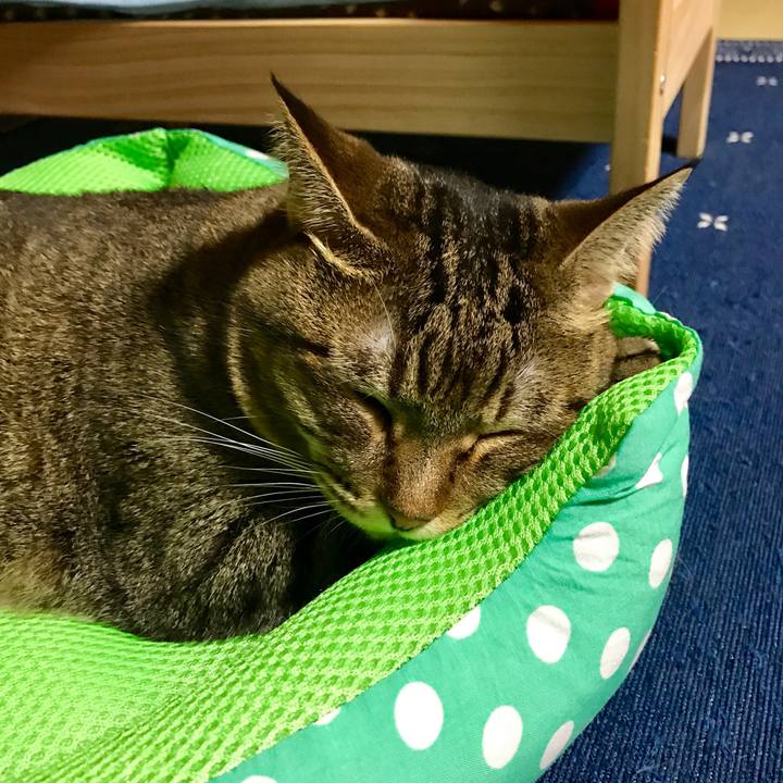 9fc78c9e 4a69 4a24 9a13 4e7ce46c99eb