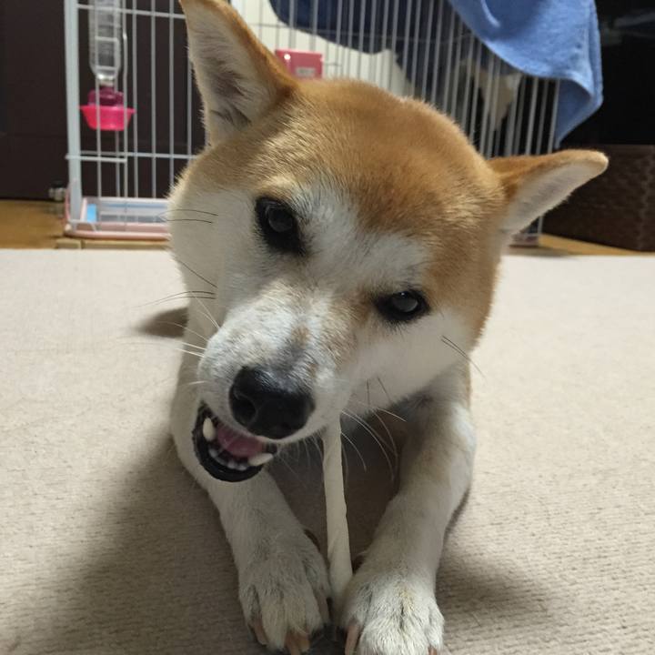 9fc7a1d2 4a7f 41a9 af9f a4b6e7eda3c2