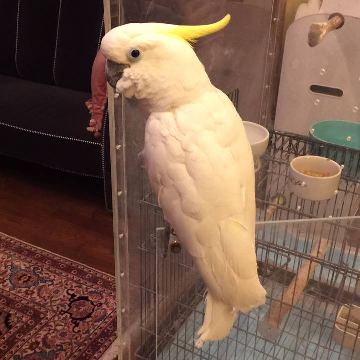 9fc91976 d296 4bfb b600 bafbed836b95