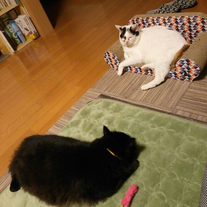 9fc92501 0ee8 4239 8a8a 9255480f0c24