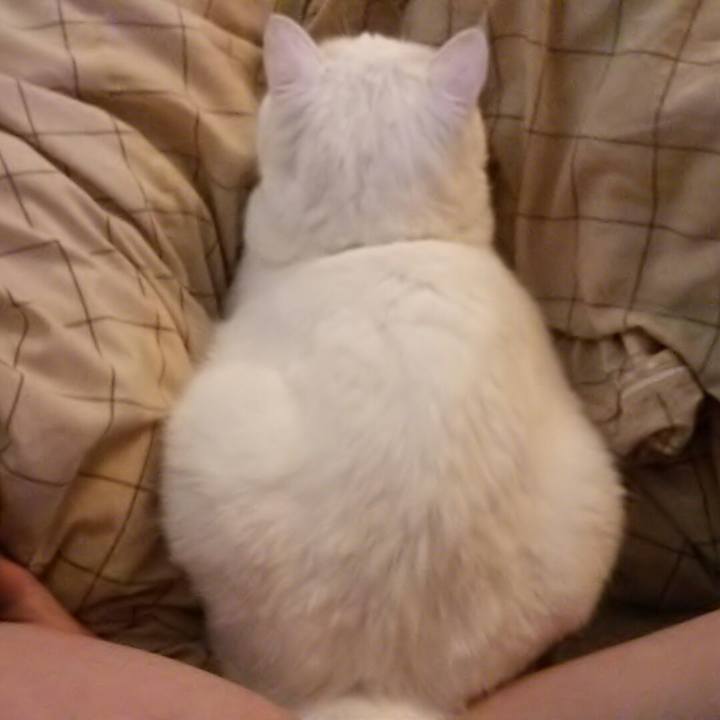 9fc94197 b10a 4a02 bd46 27e93a6cf1c4