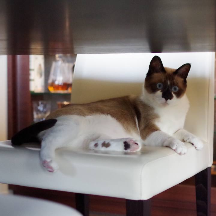 9fca6cb0 b59e 4557 ae2e e03a9b0fe8ce