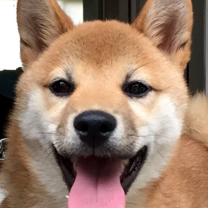 9fca7497 71f8 4fb0 8782 3824c48faac3