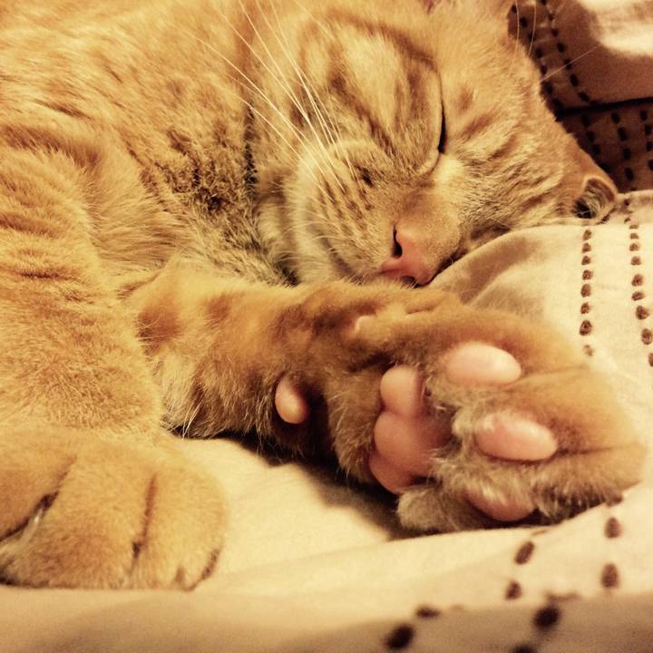 9fca93a7 0374 4115 88d9 e448387df031