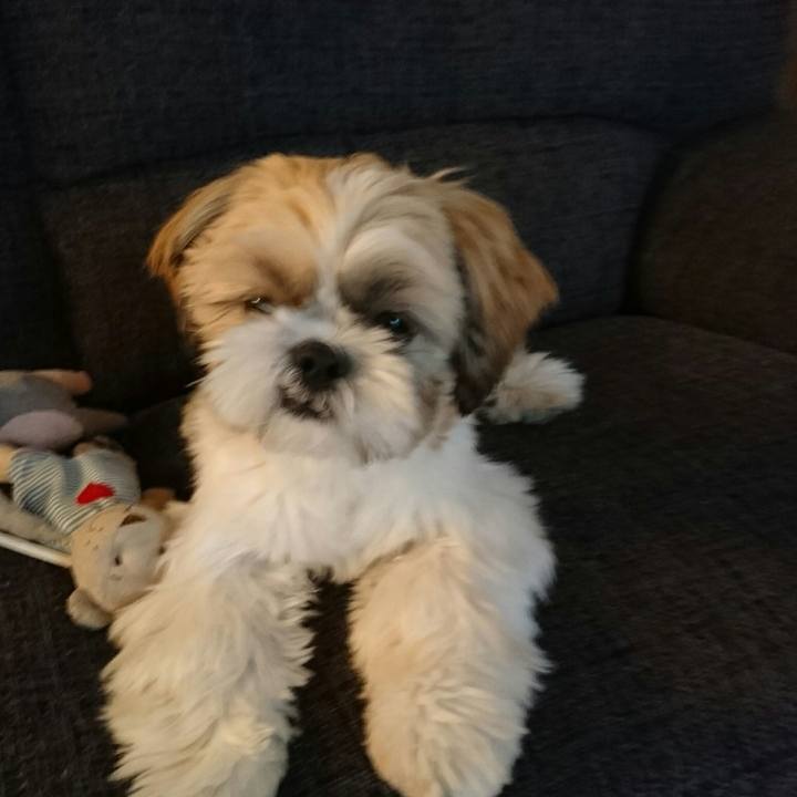 9fcbbbce 3c45 4847 b368 5ebe95ecef36