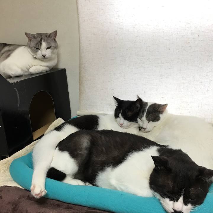 9fcc58fc ae7b 4f02 943c 56c1a5848b5b