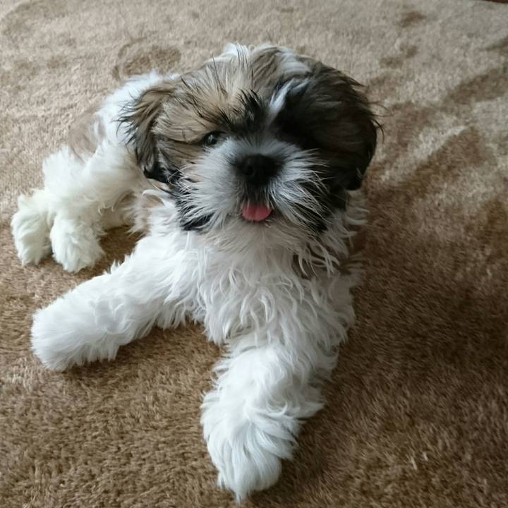 9fcc9489 1a71 4f8a 8013 d3851e3589db