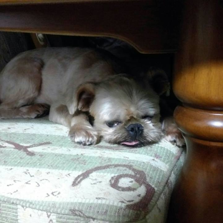 9fcd60d6 e257 4ad8 9611 93964d657f3d