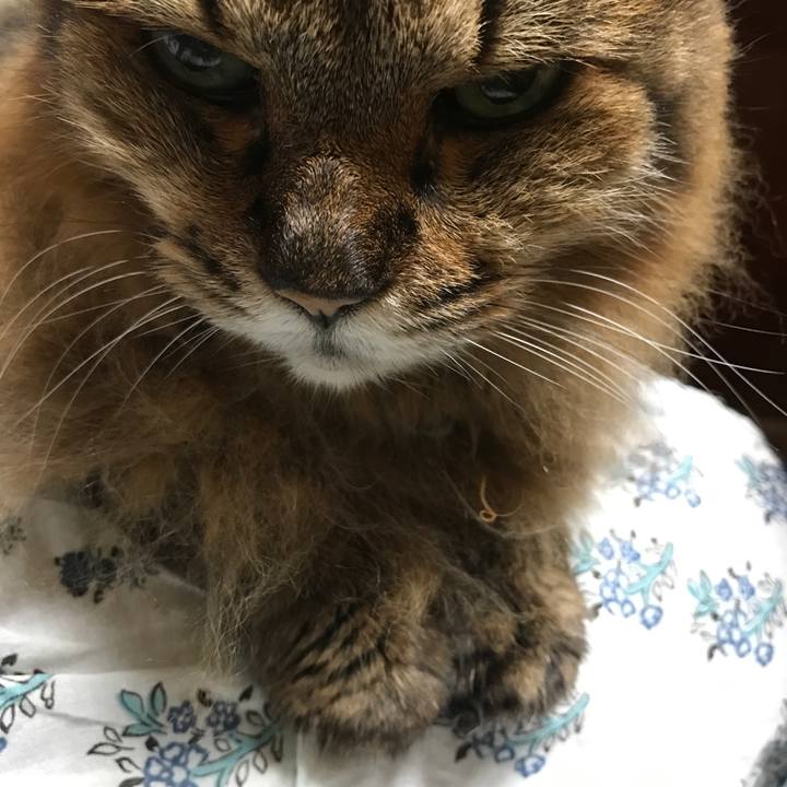 9fce8b3e 4c65 4cad 91fd f4d10228cf98