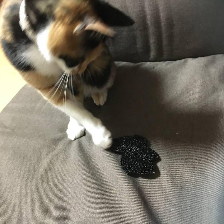 9fced377 4516 4ec3 a0f8 baec0a0de344