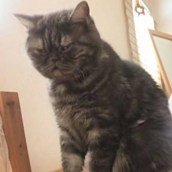 9fcf0b06 1cbb 460c a1a5 36c3856006dd