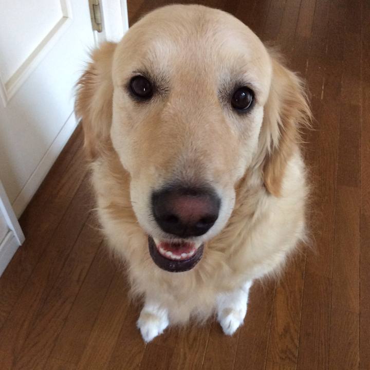 9fcfe5d1 2250 44f9 b407 5d1382ce38a4