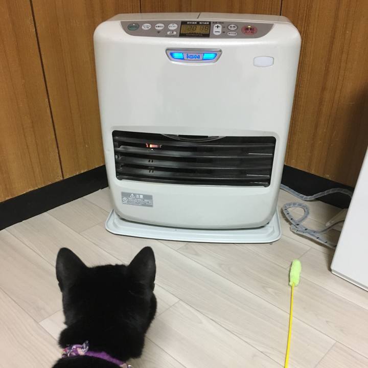 9fd1ad6c 95b4 4900 89b9 3ef02614a709