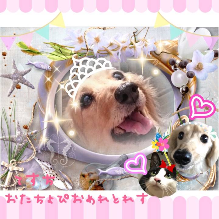 9fd22e72 23b5 4166 b556 55ebd56969e5