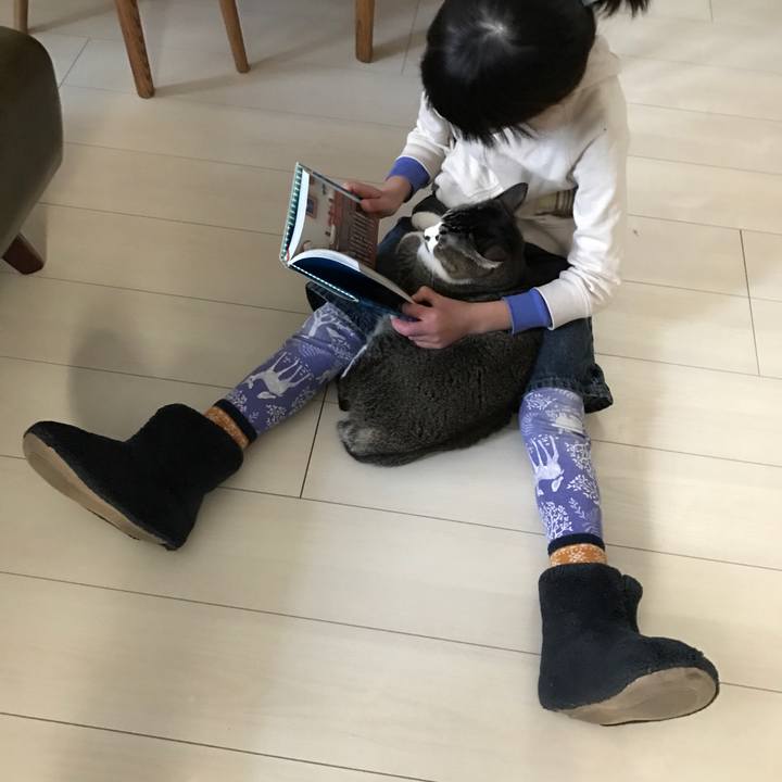 9fd2363e 7448 469b 88c0 10063da12d6a