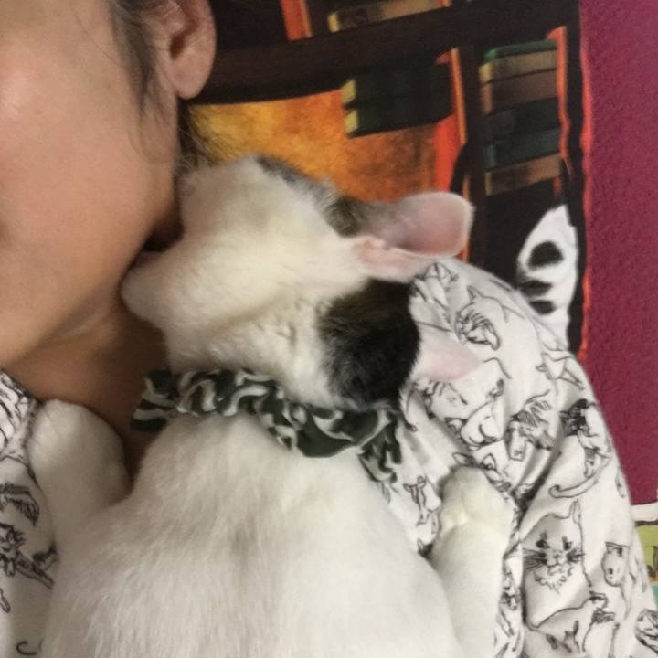 9fd28360 eae2 4180 9016 4c353bcadcca