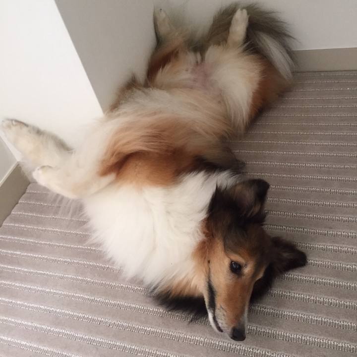 9fd2feef 9439 44bb 9d5f 32398caefef5