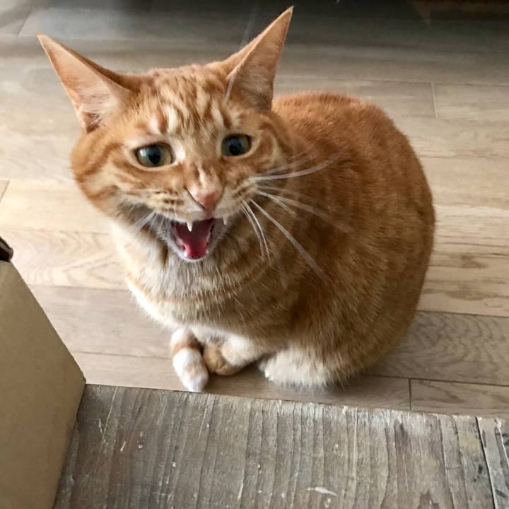 9fd43cb8 8f16 45e4 9076 2cfa97396cc3