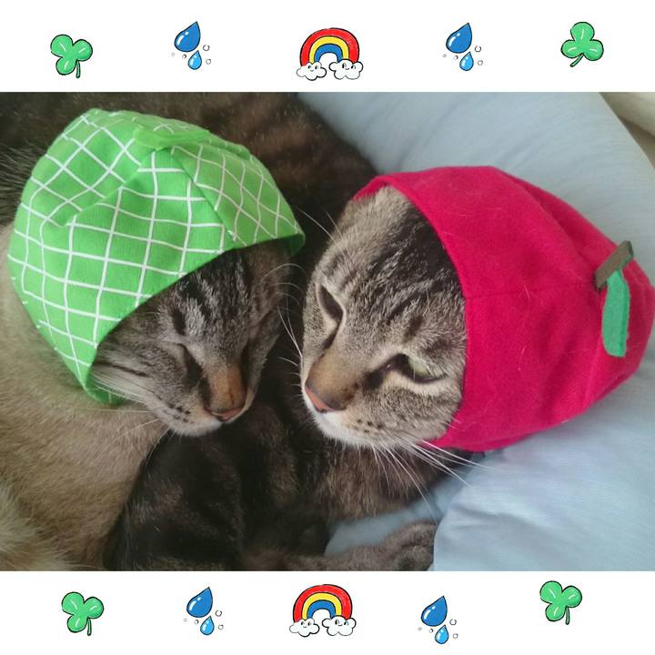 9fd514e8 b0bc 4484 8ad7 647c1f073f3e