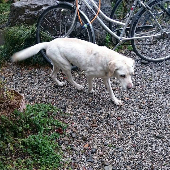 9fd52b16 e78c 4d28 a52c e652721b2032